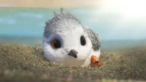 精灵总动员：超燃冒险，搁浅小岛的生存之战！