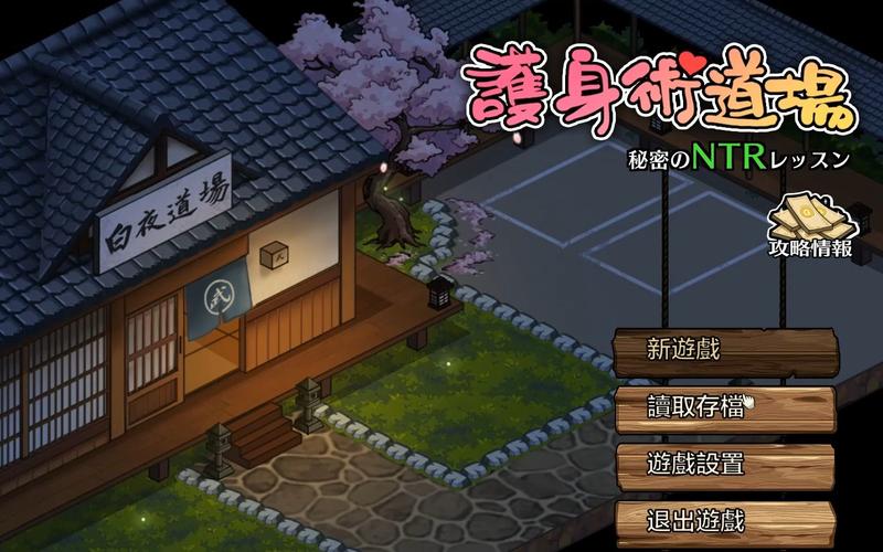 NTR传说版本大全：哪个版本最好玩？