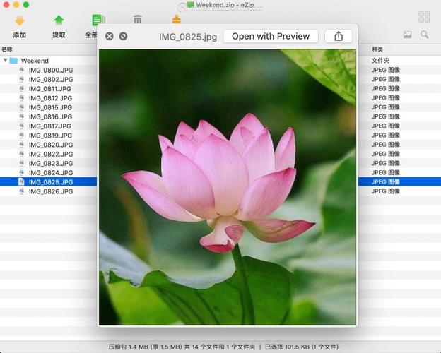 史上最全压缩工具版本大全：下载安装全攻略