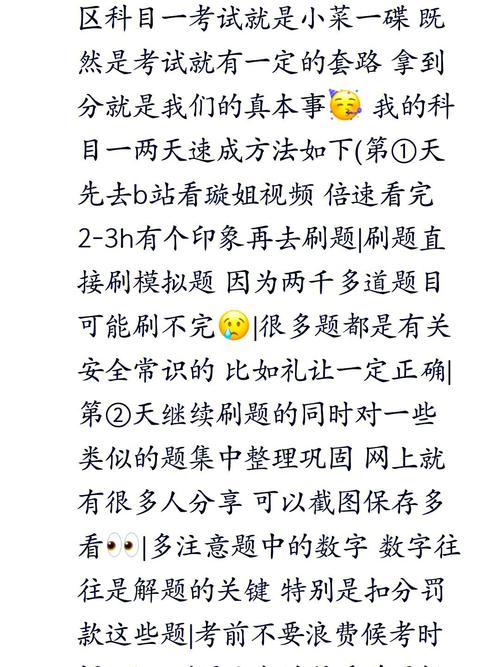 孤单枪手1秘籍大全：轻松通关秘技分享