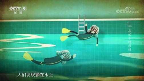 伊莱莎的秘药下载方法详解,附带网盘链接!