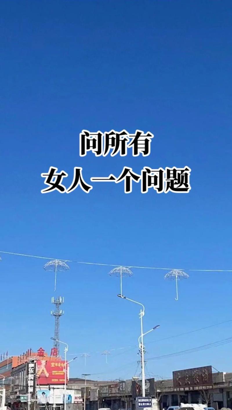 锤子便签最新版下载：高效记录你的灵感和想法