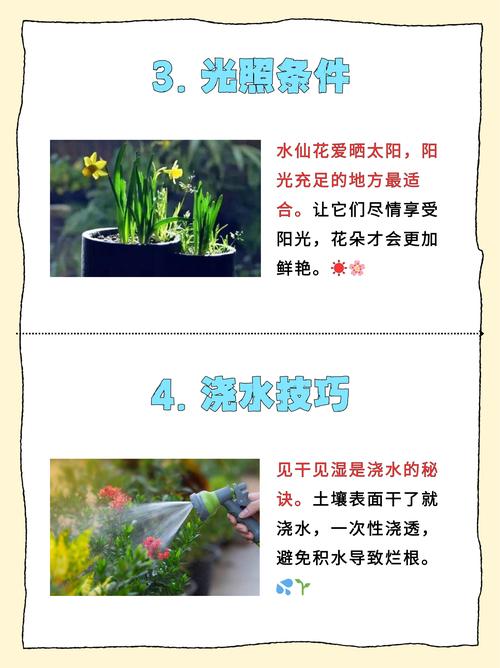 水仙花与水熊虫:谁的生命力更顽强?
