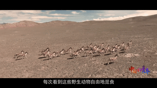 火金派与季火掌:一个关于守护与牺牲的故事