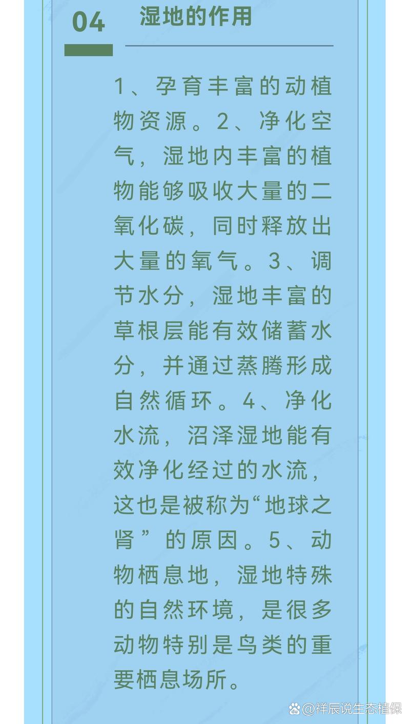 湿地被称为什么？它对地球有多重要你知道吗？