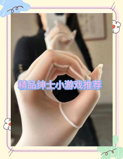 玩转NTR女骑士绅士游戏，高玩技巧与心得分享