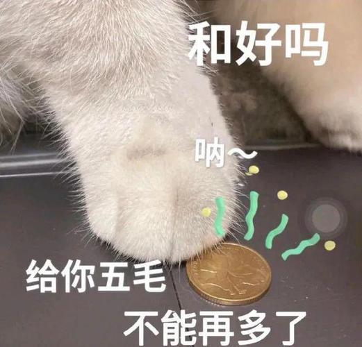 午夜撒娇版本大全：各种类型撒娇合集