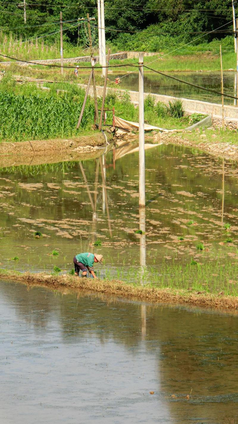 乡下生活版本大全：带你感受不一样的乡村生活