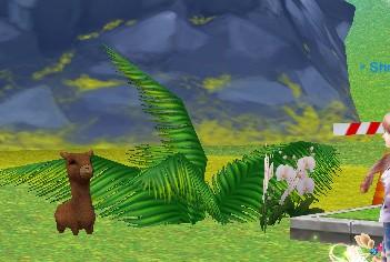 神兽萌萌藏哪了？QQ炫舞萌宠捕捉全攻略