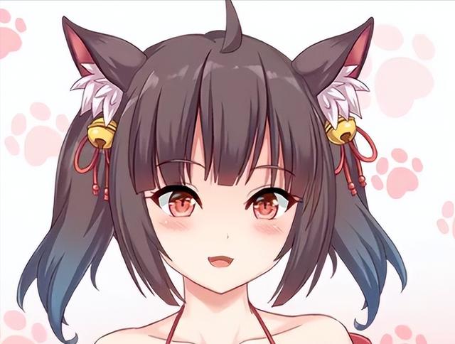 捡到千年猫最新版本玩法详解：解锁猫咪隐藏剧情