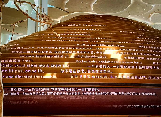 镜的欢迎会：一场别开生面的奇幻之旅