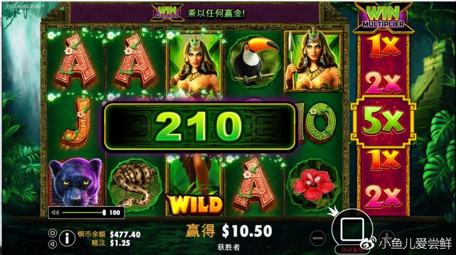 忠诚的妻子游戏介绍：剧情丰富引人入胜的游戏