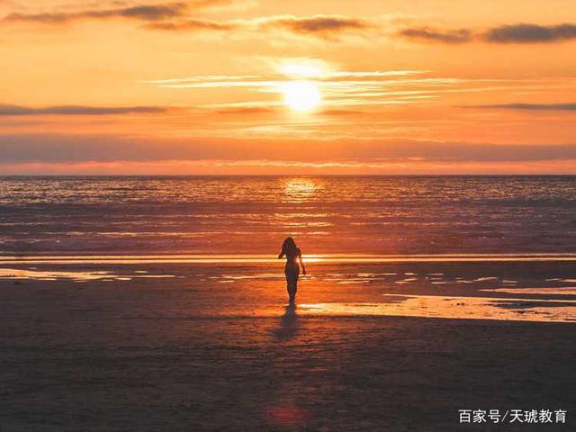 深度解析弗兰尼斯的命运：她将如何改变未来？