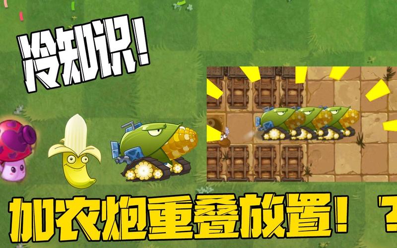 植物大战僵尸:玉米加农炮详解及进化攻略