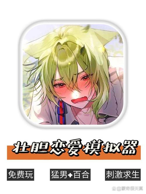 欲之梦游戏介绍：PSP平台女性向恋爱游戏体验