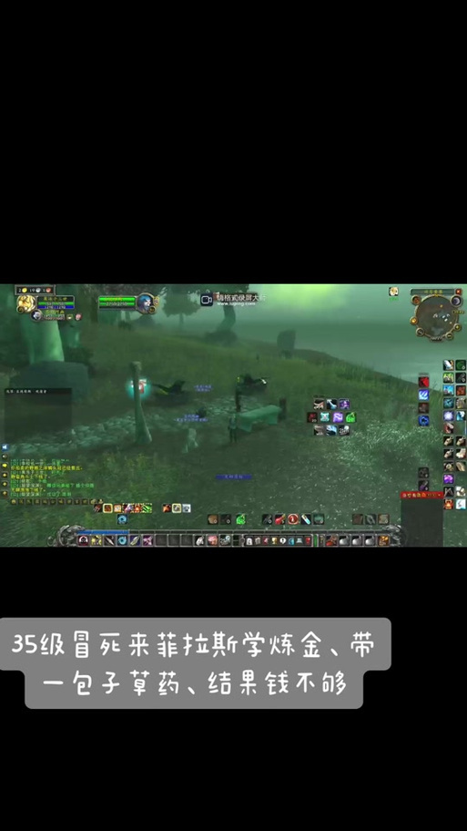 菲拉斯精龙宝宝任务：新手也能轻松完成的步骤