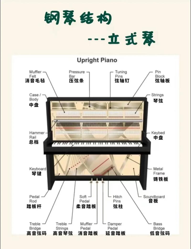 钢琴黑白键的宽度一样吗？快速了解钢琴结构