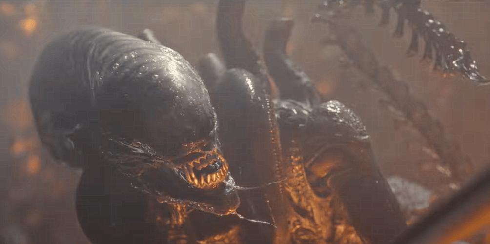 终极怪物大战异形!谁能笑到最后?