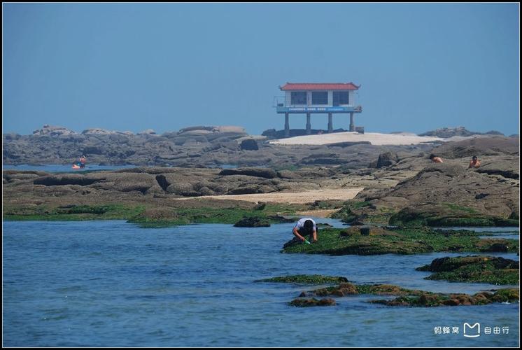 一步步教你注册姜太公的小岛,快速拥有你的海岛