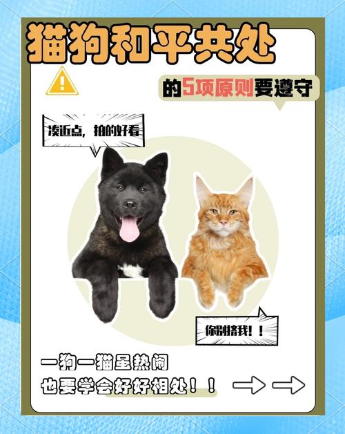 猫狗兽杂交可能吗?专家解读动物杂交的可能性