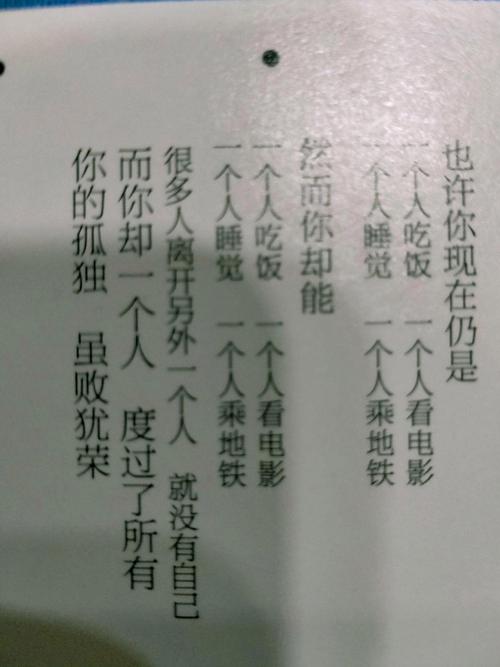 孤独的陌生人游戏攻略:新手入门必看技巧