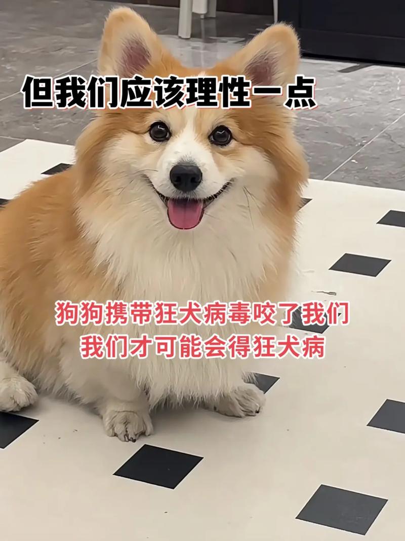 猫狗兽杂交可能吗?专家解读动物杂交的可能性