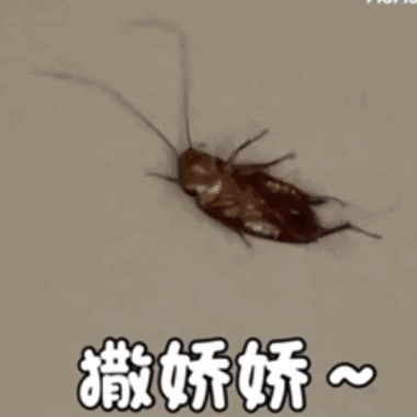 午夜撒娇版本大全：各种类型撒娇合集