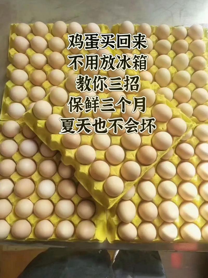鸡蛋买回家要不要洗?专家教你正确保存鸡蛋的方法!