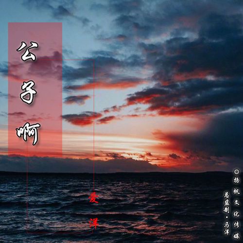 古风歌曲公子是你吗出自哪首歌?歌手是谁?