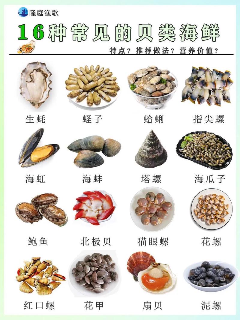 找不到炫舞贝壳？教你快速找到所有贝壳