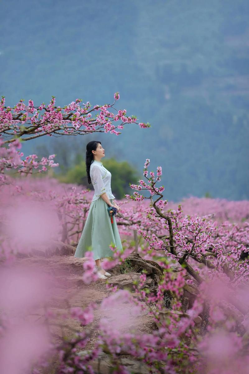 想玩桃花境?教你快速找到下载地址和方法!