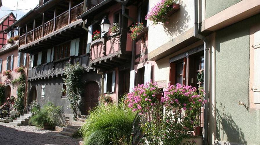 维纳斯俱乐部欧美96版官网,重温难忘的欧美回忆!