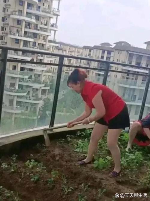 还在等什么？乡村生活的快乐暑假游戏，带你体验田园生活！