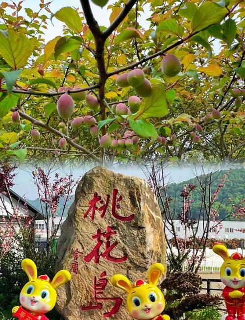 想玩桃花境?教你快速找到下载地址和方法!