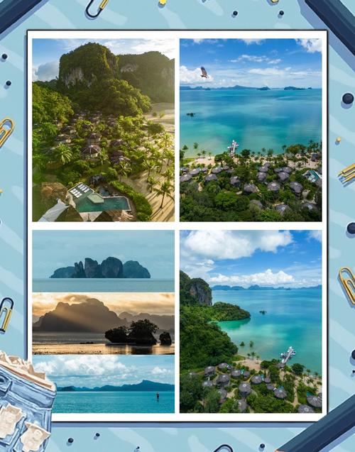 岛主日记最新版本是多少？赶紧下载体验最新功能！