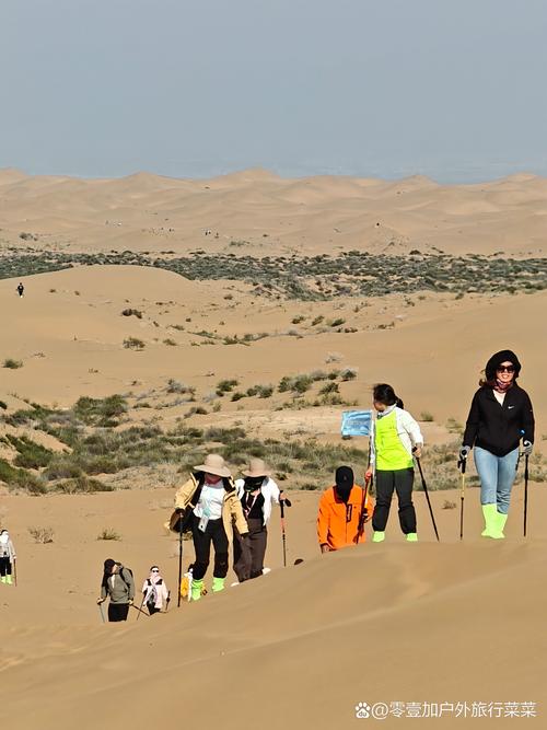 想玩沙漠追猎者?这里提供官方及其他下载地址