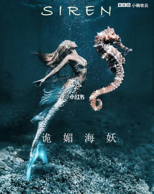 玩转黑暗海妖最新版本:完整套装获取攻略