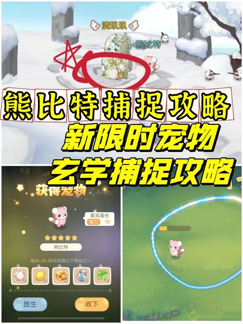 火爆手游宠物捕捉大师:番外最新版本更新内容详解