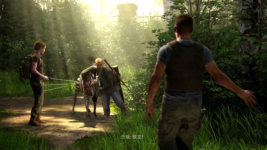 最后的生还者2官方网站地址:体验获奖作品的魅力