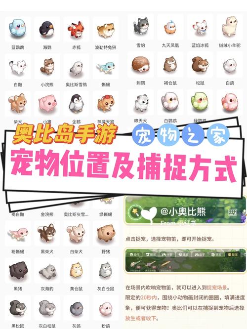 宠物捕捉大师精彩番外:推荐你弟弟也喜欢的游戏