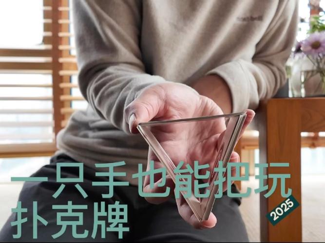 家务杨过游戏攻略:快速上手的技巧分享