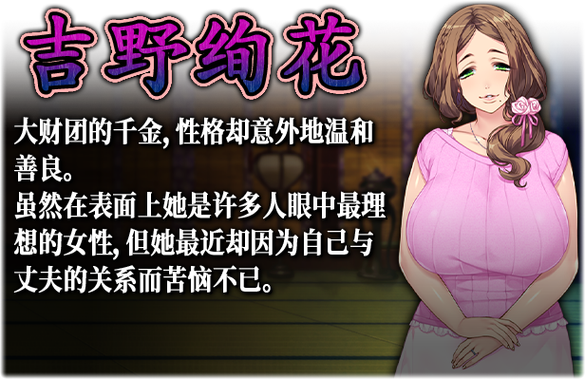 妃神会秘史汉化版下载:完整版+全CG资源免费获取