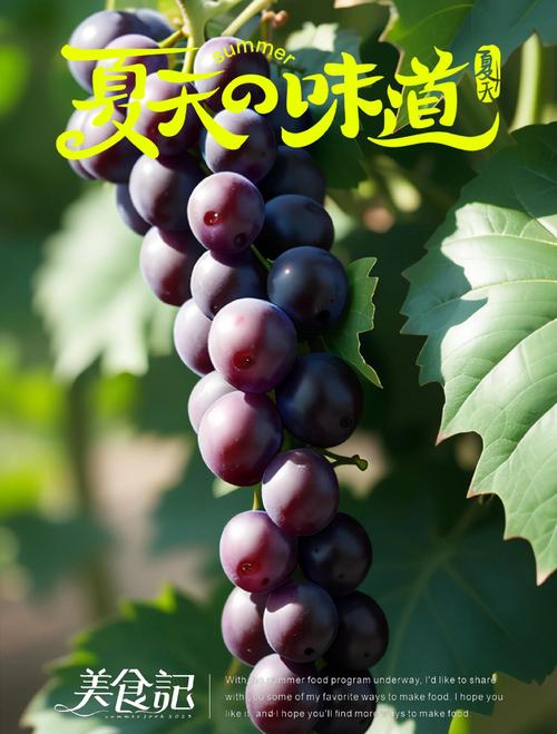 寻找葡萄成熟时官方网站?高清资源在线观看!