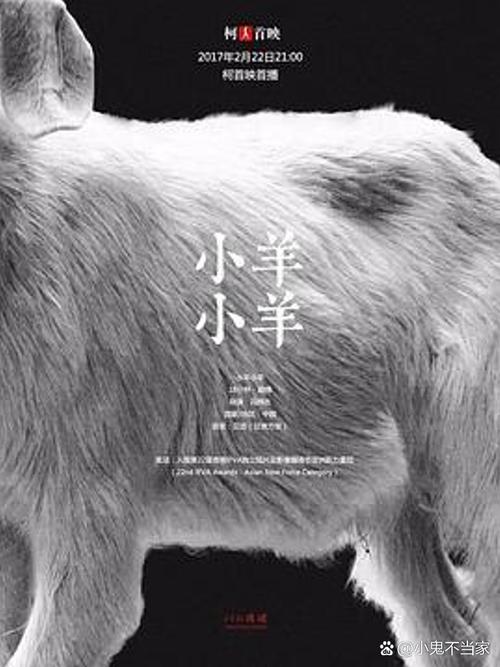 小羊最新分享:诱惑与挣扎,我的生活故事