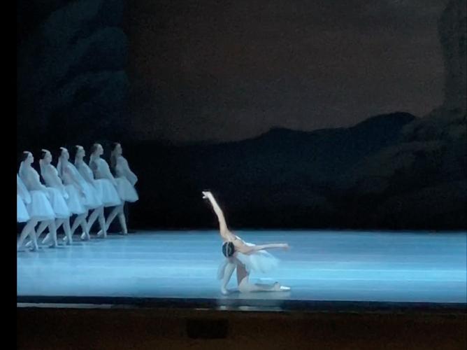 舞姬最新动态：精彩演出与幕后故事抢先看