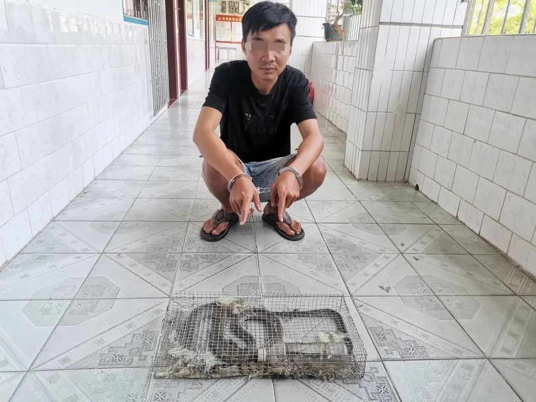 淫魂狩猎最新进展:揭秘非法狩猎团伙,打击犯罪维护秩序