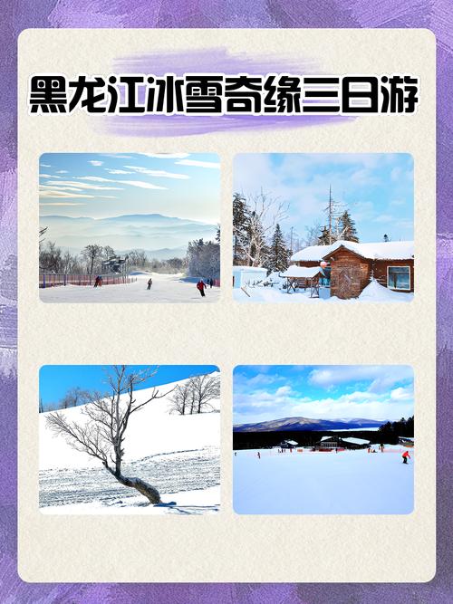 冬日狂想曲游戏官网:体验冰雪世界的浪漫奇缘