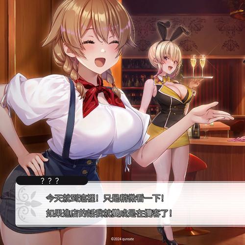 绅士游戏深度解析：类型玩法全方位解读