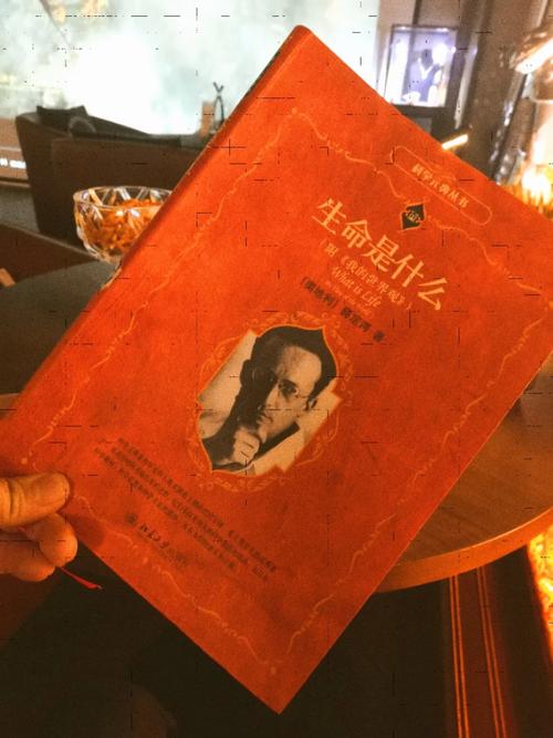 想知道隔壁老王都有哪些版本?这里有答案!