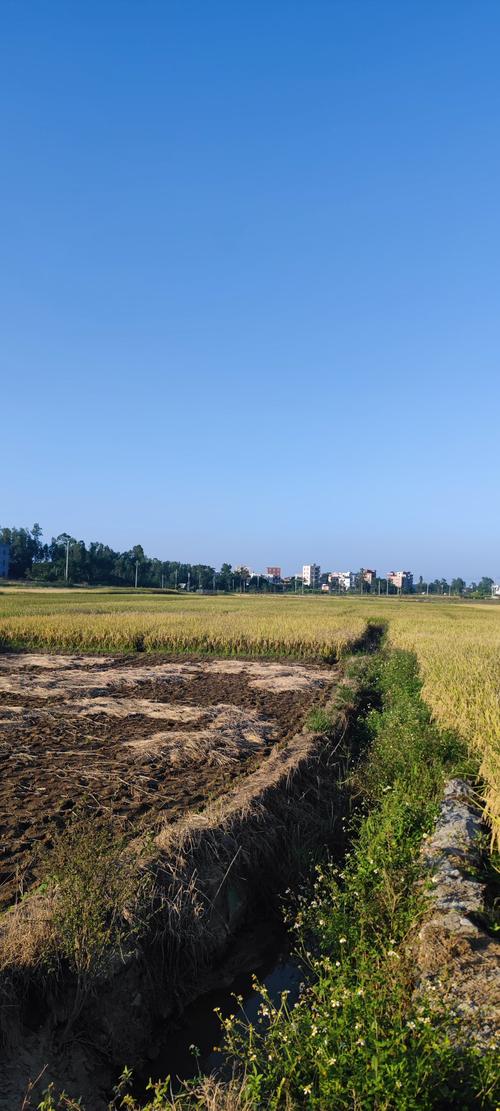 想玩我的乡村生活?安卓下载方法都在这里!